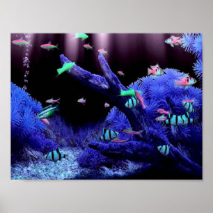Tropische vissen poster