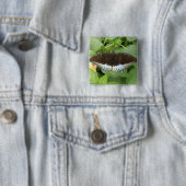 tropische vlinder Button (In situ)