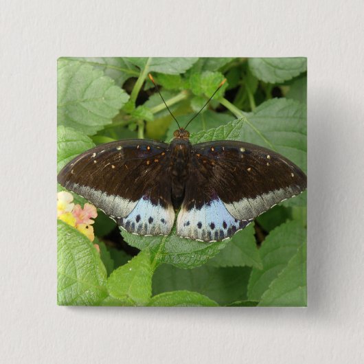 tropische vlinder Button (Voorkant)