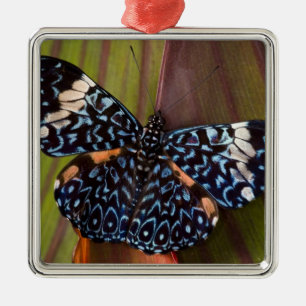 Tropische vlinder metalen ornament