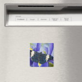 Tropische vlinder Paarse iris Magneet (Insitu (Vaatwasser))