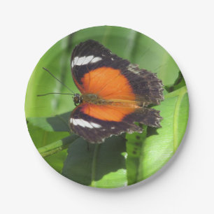Tropische vlinder papieren bordje