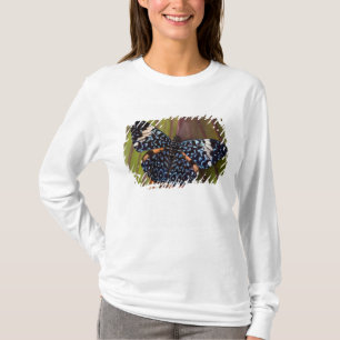 Tropische vlinder t-shirt