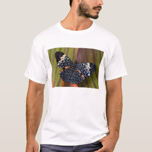 Tropische vlinder t-shirt
