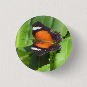 Tropische vlinderbadge ronde button 3,2 cm