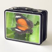 Tropische vlinderbox (Achterkant)