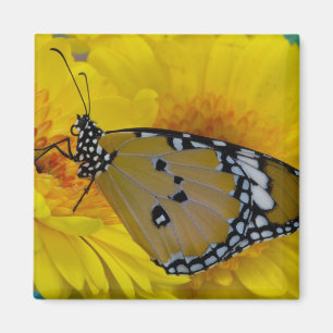 Tropische Vlinders Magneet