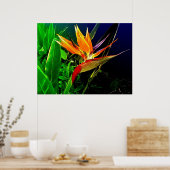 Tropische vogel poster (Keuken)