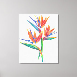 Tropische vogel van het paradijs tekening originel canvas afdruk