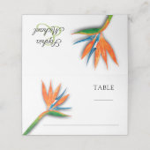 Tropische vogel van het paradijselijk huwelijk (Buitenkant ongevouwen)