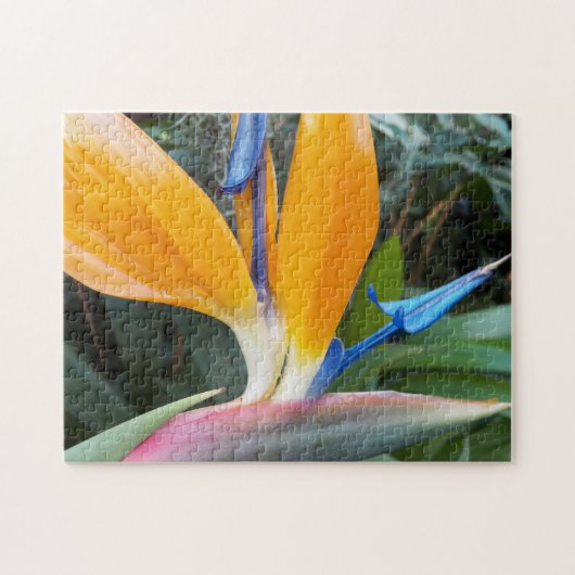 Tropische vogel van het Plant van het Paradijs Legpuzzel (Horizontaal)