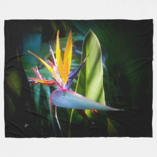 Tropische Vogel van Paradijs Hawaii Bloem Bloemstu Fleece Deken