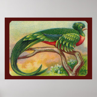  tropische vogelafdrukken poster
