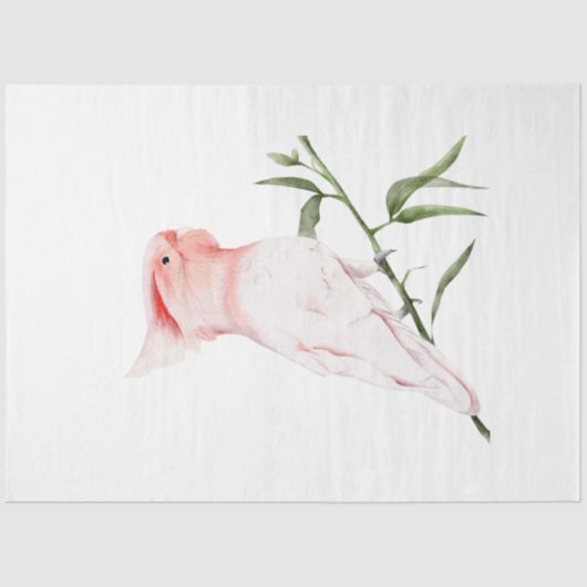 Tropische vogelreeks: Grote Mitchells Tissuepapier (Voorkant)