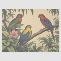 Tropische vogels gedurfde illustratie