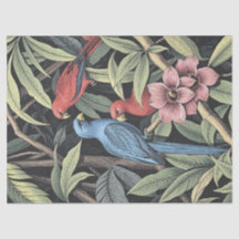Tropische vogels gedurfde illustratie