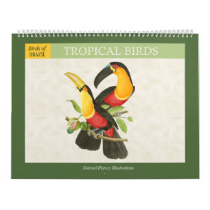  Tropische Vogels Illustraties 2026 Kalender
