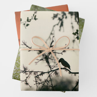 Tropische Vogels Inpakpapier Vel