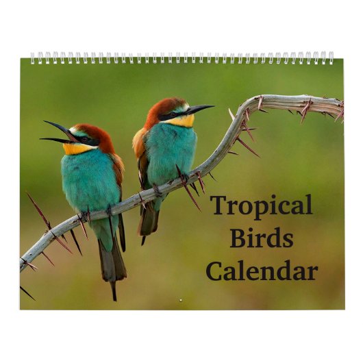 Tropische vogels kalender (Hoes)