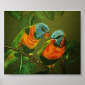 Tropische vogels poster (Voorkant)