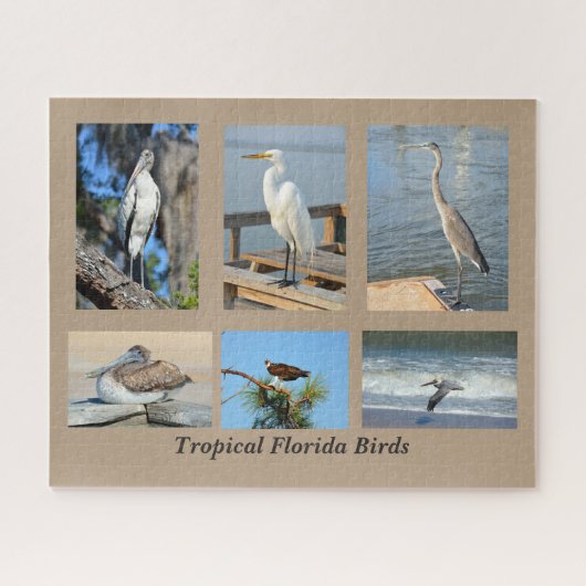 Tropische vogels uit Florida Legpuzzel (Horizontaal)