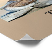 Tropische vogels uit Florida Poster (Hoek)