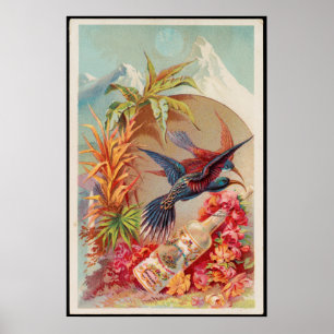 tropische vogels waterreclame in Florida Poster