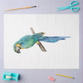 Tropische vogelserie: Blue Macaw Tissuepapier (Craft)