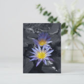 Tropische Waterlelie Bloem Botanisch Ontwerp Briefkaart (Staand voorkant)