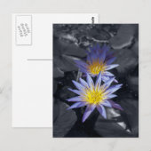 Tropische Waterlelie Bloem Botanisch Ontwerp Briefkaart (Voorkant / Achterkant)