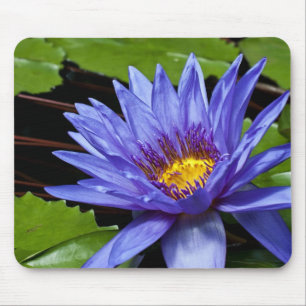 Tropische Waterlelie Bloem Botanisch Ontwerp Muismat