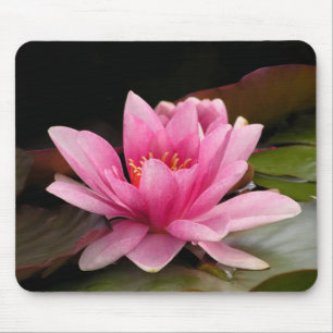 Tropische Waterlelie Bloem Botanisch Ontwerp Muismat