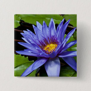Tropische Waterlelie Bloem Botanisch Ontwerp Vierkante Button 5,1 Cm