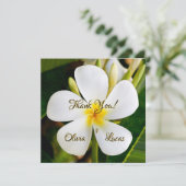 Tropische Witte Plumeria - Nieuw begin - Weddensch (Staand voorkant)