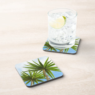 Tropische Yucca Palm Bladeren Schilder Effect Foto Bier Onderzetter