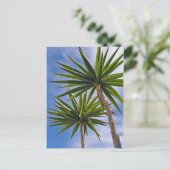 Tropische Yucca Palm Bladeren Schilder Effect Foto Briefkaart (Staand voorkant)