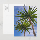 Tropische Yucca Palm Bladeren Schilder Effect Foto Briefkaart (Voorkant / Achterkant)