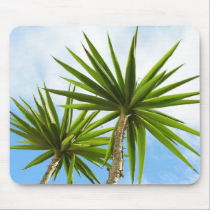 Tropische Yucca Palm Bladeren Schilder Effect Foto Muismat