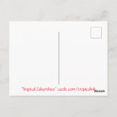 Tropische Zakynthos Briefkaart (Achterkant)
