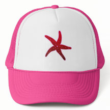 tropische Zee zeester