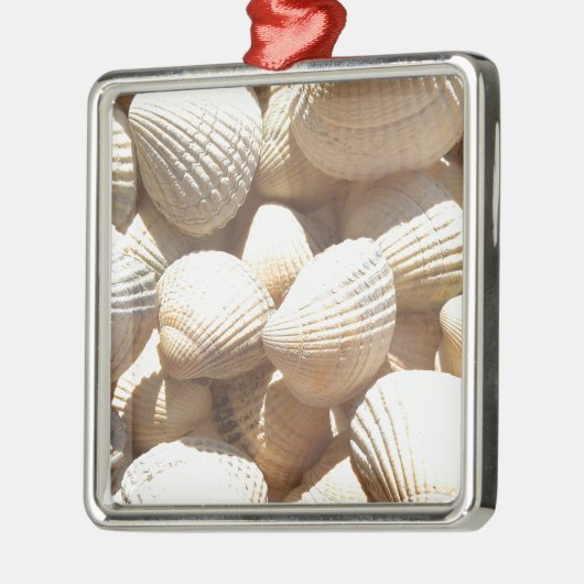 Tropische zonneboringen aan de exotische zee metalen ornament (Links)