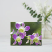 Trorpical Orchids Bloom Briefkaart (Staand voorkant)