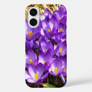 Tros paarse krokussen lente bloemen iPhone 16 hoesje