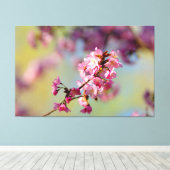 Tros Sakurabloesems op Groen, Blauw, Paars Canvas Afdruk (Insitu (Houten vloer))