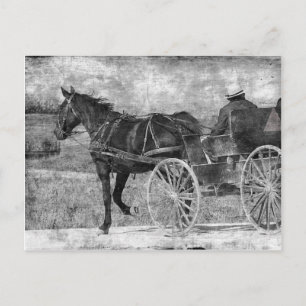 Trot Amish Horse in Black and White Briefkaart