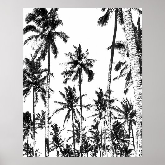 Trotropische zomer met zwarte en witte palmboom poster (Voorkant)