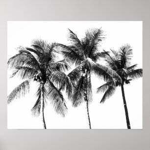 Trotropische zomer met zwarte en witte palmboom poster