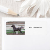 Trots label uitvoeren (Insitu)