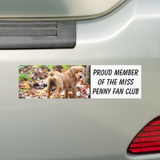 Trots lid van de Miss Penny fanclub. Bumpersticker (Op auto)