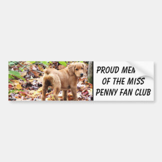 Trots lid van de Miss Penny fanclub. Bumpersticker
